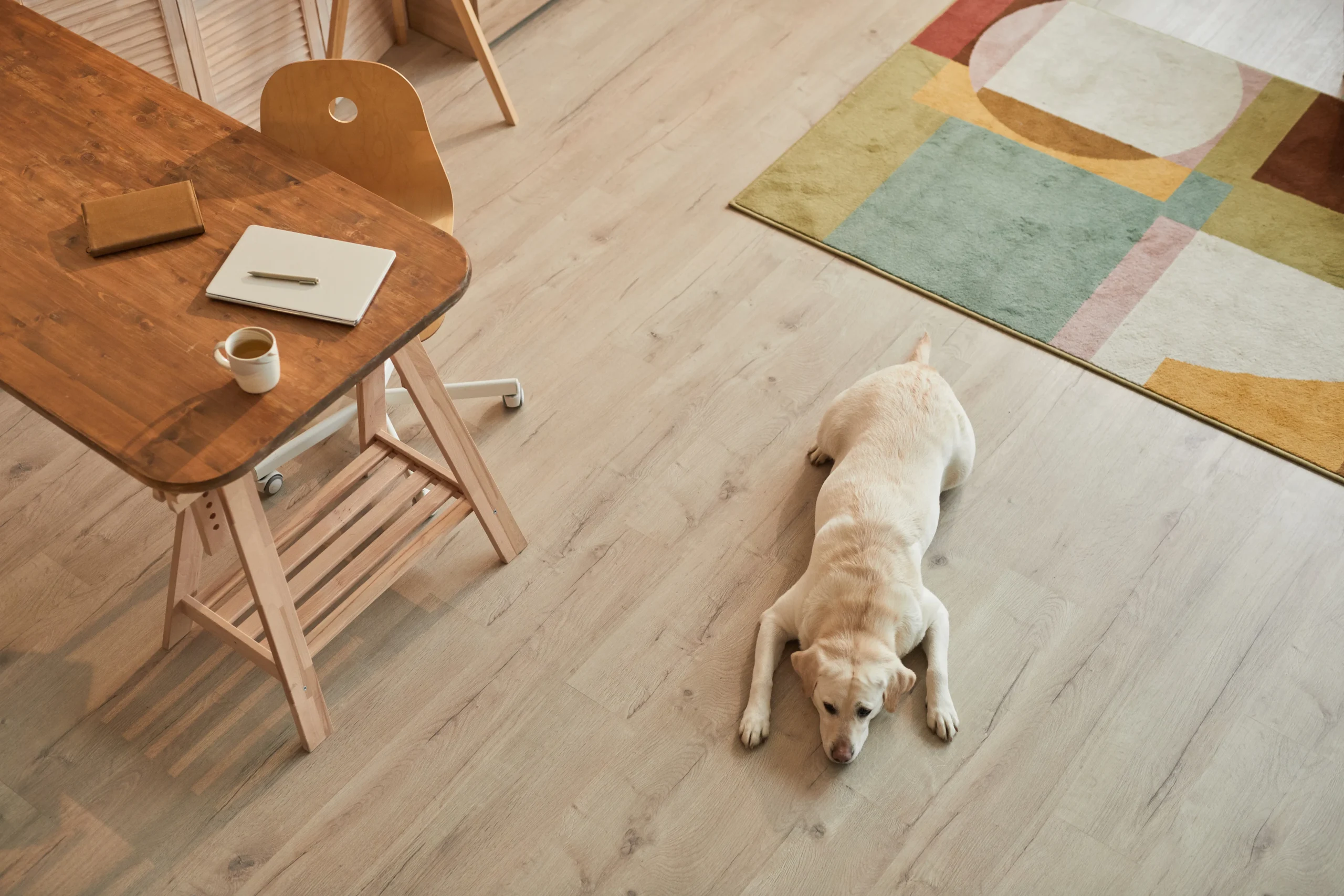 Types of Waterproof Flooring Options